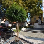 Mestna urbanizacija